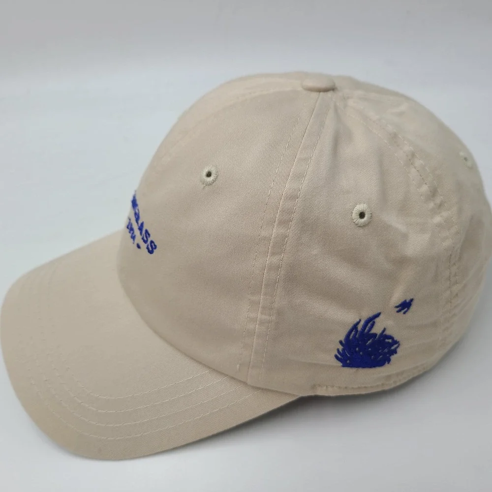 Sawgrass Country Club Hat Adjustable American Needle Beige Blue Golf Course Men